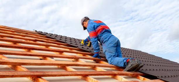 Best Steel Roofing  in Adrian, MO
